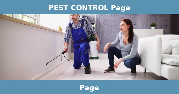 PEST CONTROL Page